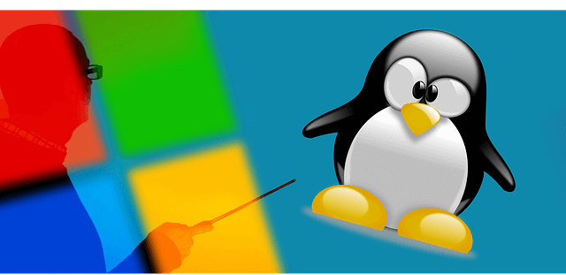 Linux vs Windows